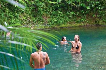 Swim in freshwater creeks in the Daintree with Daintree Tours