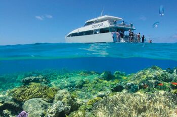 Snorkelling with Calypso Reef Cruises, the perfect Family friendly reef trips in Port Douglas