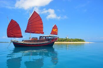 Shaolin Port Douglas Chinese Junk Boat snorkeling tour Low Isles Great Barrier Reef